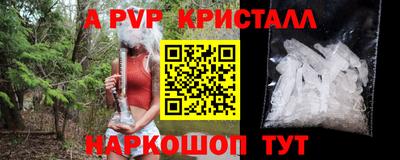 амфетамин Гатчина