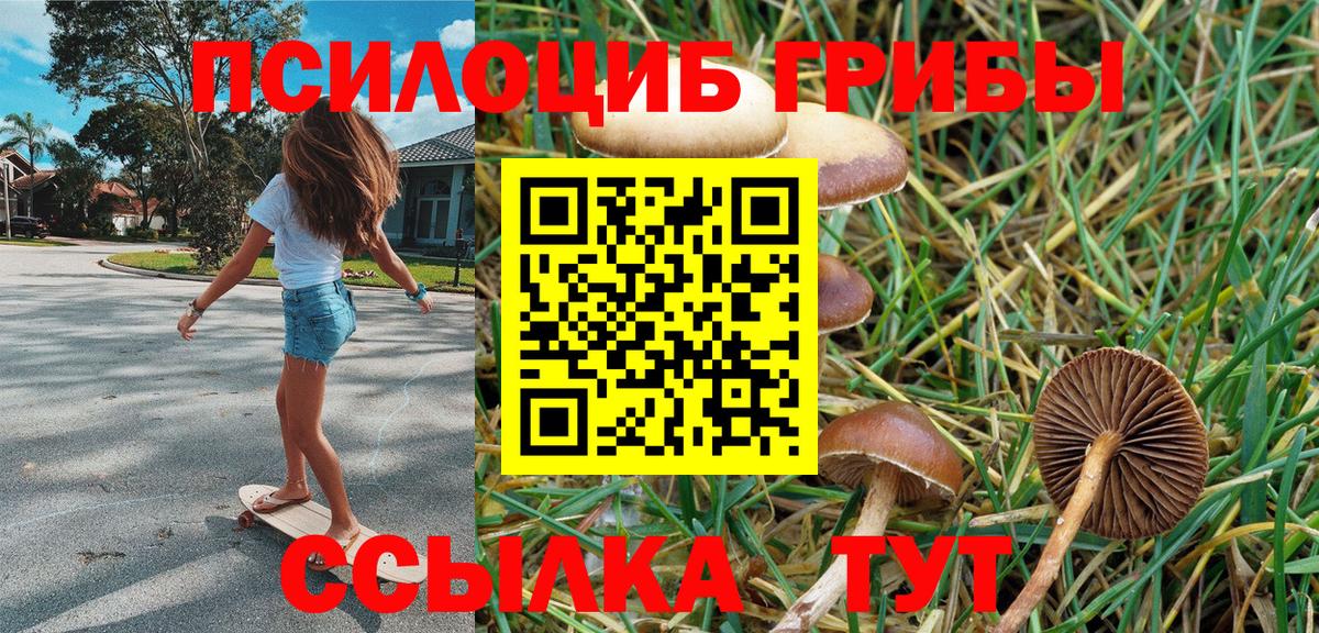Карпинск  Псилоцибиновые грибы Psilocybine cubensis  Вход с VPN  Галлюциногенные грибы Psilocybe 