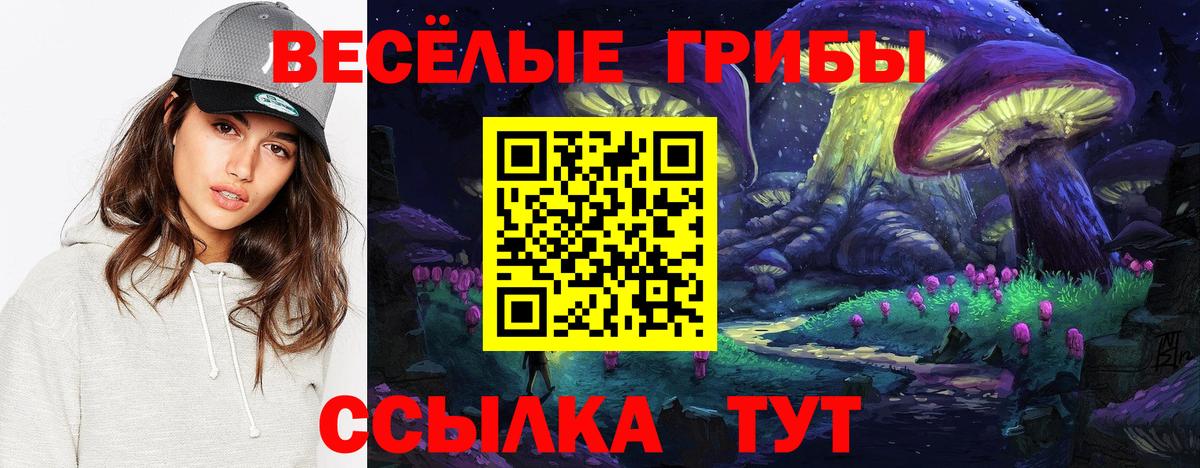 Галлюциногенные грибы мицелий Карпинск